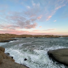 Late summer groove🌲🍄