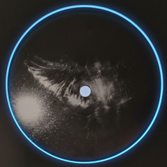 Dj Dove - Bird Of Prey (Tetly's Magic Bird Mix)