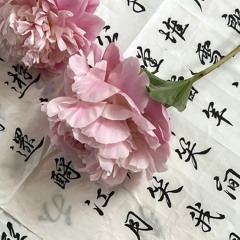 [Playlist việt] list này tẩm đá🫣