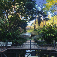 Kärlek är ett brev skickat tusen gånger