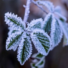 Rock Thaw