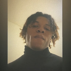 bok-shemar -cat in the hat