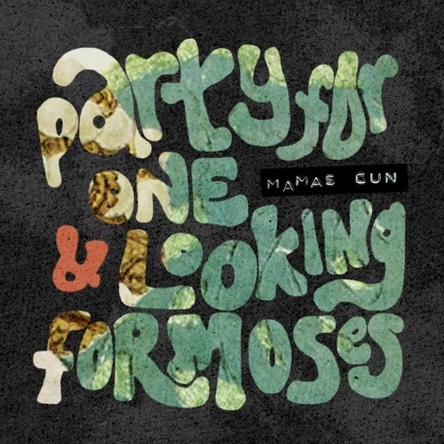 Exclusive Premiere:  Mamas Gun "Looking For Moses" (Radio Edit) (Forthcoming on Candelion)