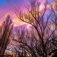 2020-09-19_23h57m43