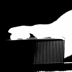 Pedal