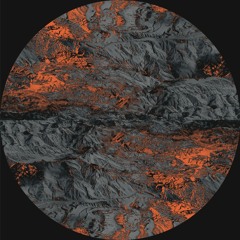 *PREMIERE* SVNDS - Cybersymbiosis