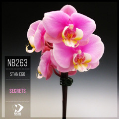 Stan Ego - All of Secrets (Original Mix)