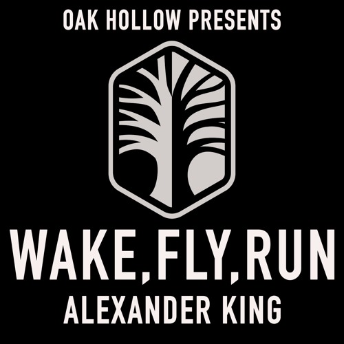 Wake Fly Run
