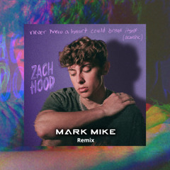 Zach Hood - Never Knew a Heart Could Break Itself (Mark Mike Remix)