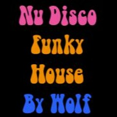 Nu Disco - Funky House by Wolf
