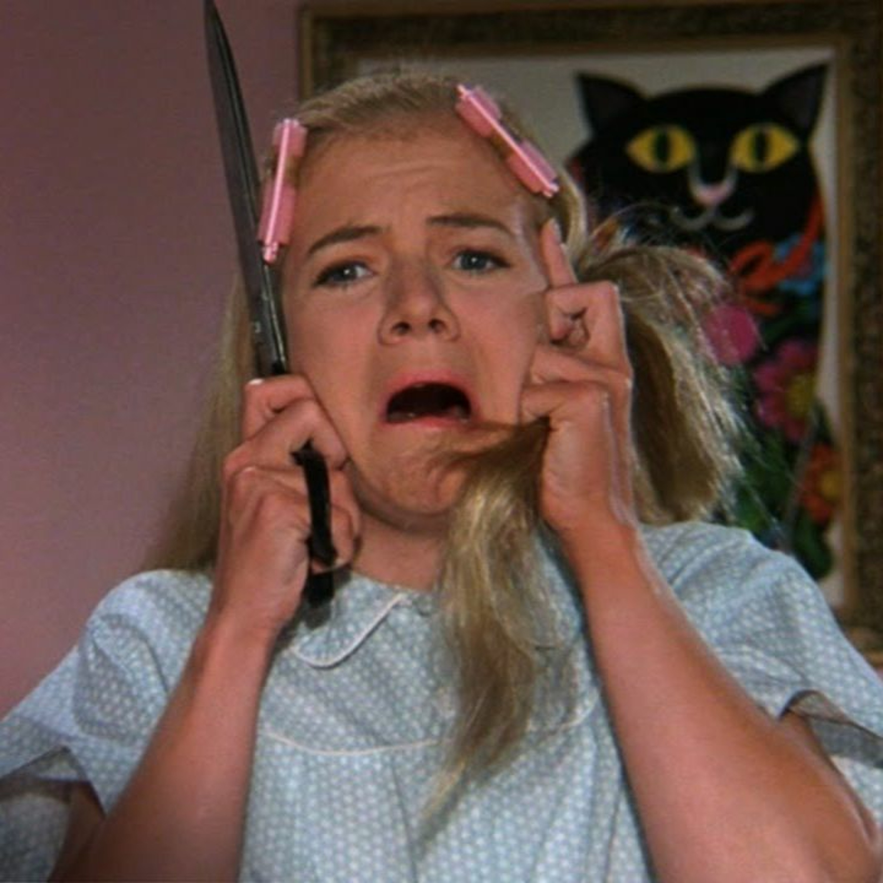 THE BRADY BUNCH MOVIE and A VERY BRADY SEQUEL