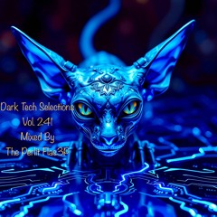 Dark Tech Selections Vol. 241 [Vinyl Only Mix]