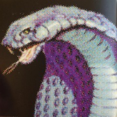 SnK. (w/ Psychø) [[SOLD]]