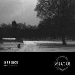 Marincu - Pejos [WELTER266LP]