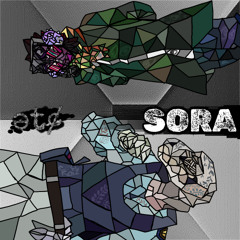 [W1-1B] SORA