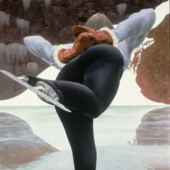 let us go skating