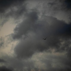 a Breath