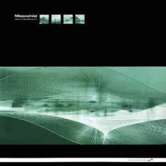 Moonchild - View of Life (Instrumental Mix)