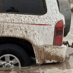 شفت لي خيل - عيضه المنهالي