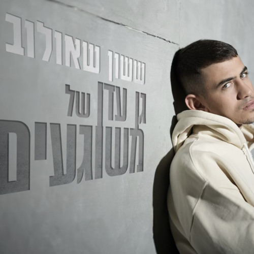 ‎⁨ששון איפרם שאולוב - גן עדן של משוגעים (Prod. by Tamir Zur)⁩.mp3