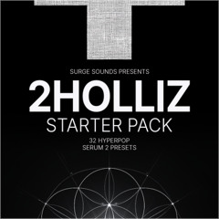 Surge Sounds - 2holliz