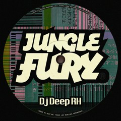 Jungle Fury (Radio Edit)