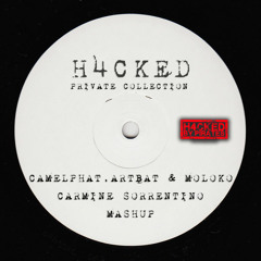 CamelPhat,Artbat & Moloko - The Time Is Now For A Feeling (C.Sorrentino H4CKED)