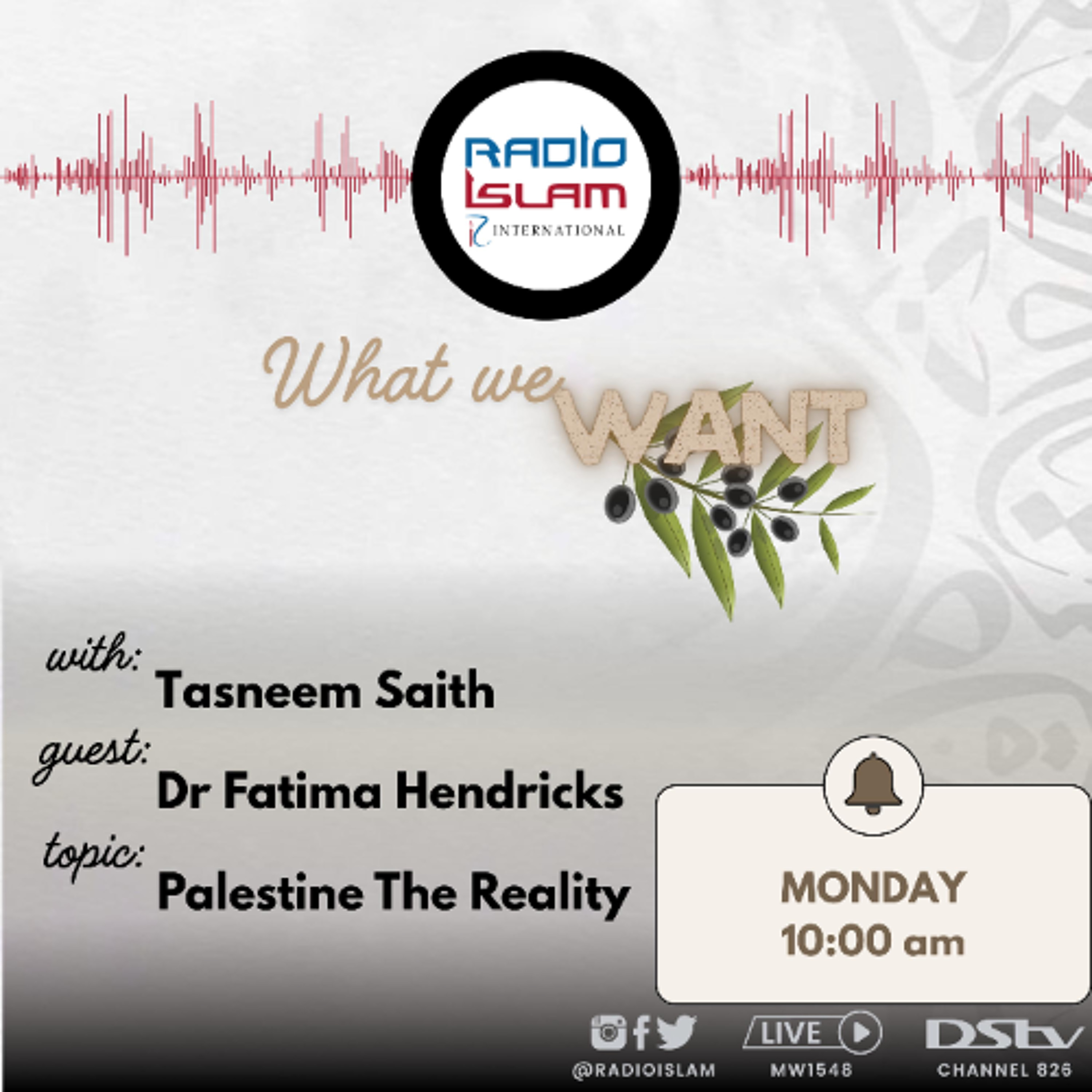 What We Want - Palestine The Reality