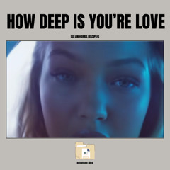 How deep is you're love - Calvin Harris, Diciples (outoftune. flip) Extendet Mix || FREE DL