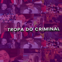 TROPA DO CRIMINAL BDK (JHOW,MUCA,LANIK,CELLIN,FONTINNELE,MEIKOD,VGZÃO,VINIXT,PVFRANGO)