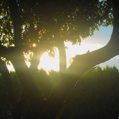 arrived (prod Caramel Smooth Heaven)