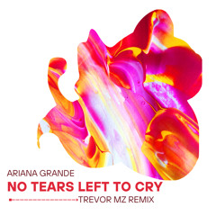 ARIANA GRANDE - NO TEARS LEFT TO CRY( TREVOR MZ REMIX).mp3