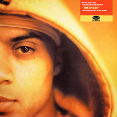 Hotness (Roni Size Remix)
