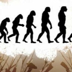 ▶   Evolution