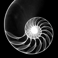 Neil & @jkeibeats-SHELL