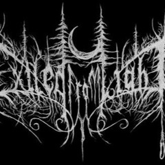 depressivesuicidalblackmetal