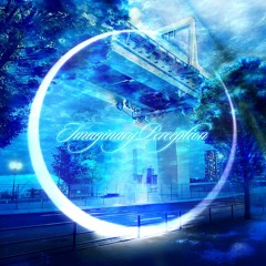Imaginary Perception