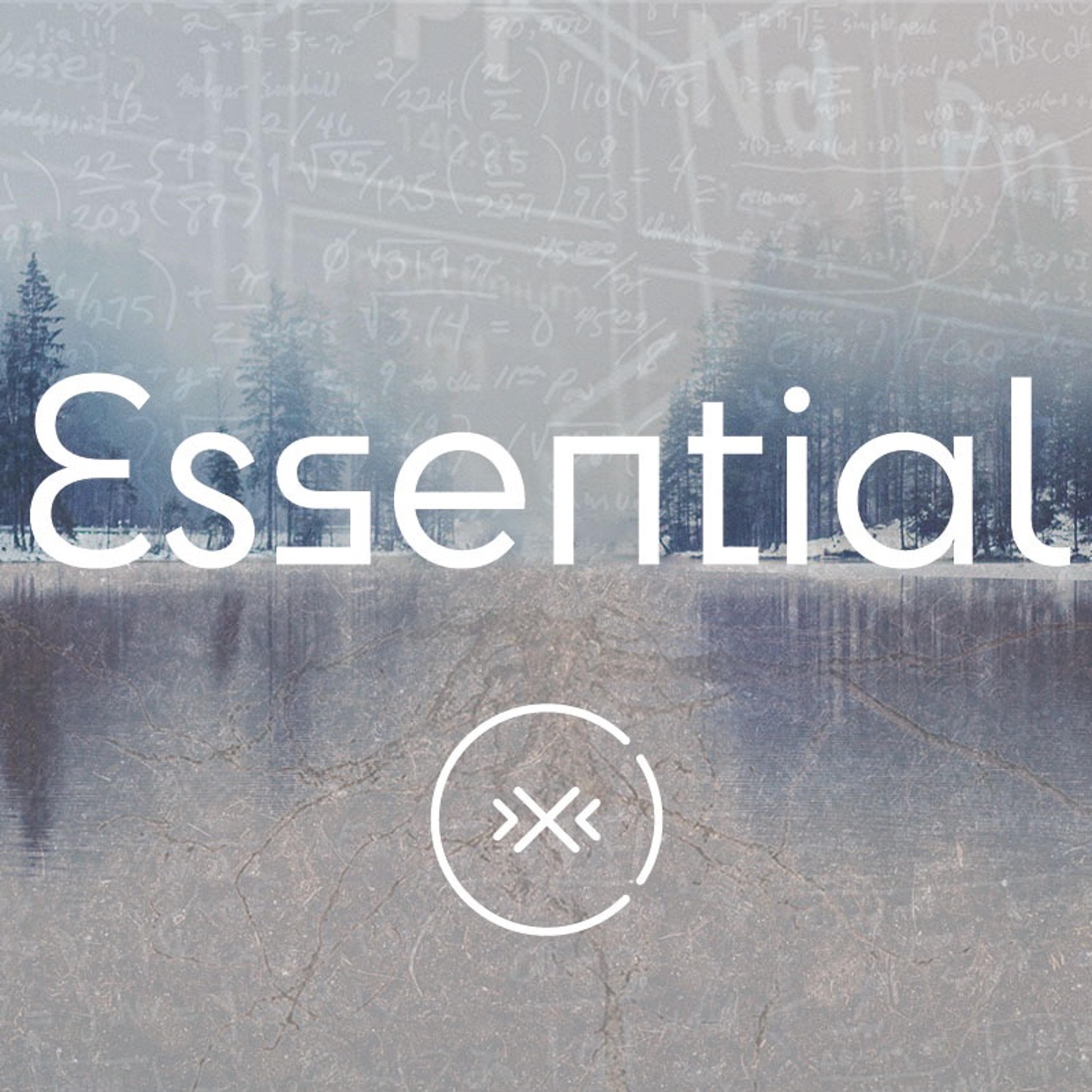 Essential || Value || Week 6 episode artwork