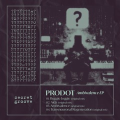 PREMIERE: Prodot - Aida (Original Mix) [Secret Groove]