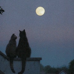 Kind Moon