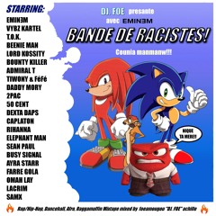 BANDE DE RACISTES! (Mixtape with EMINƎM!)