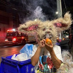 PRADAUMARI