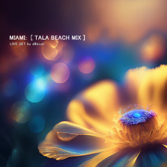 Live Set at Tala Beach