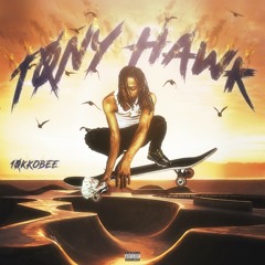 10K Kobee - Tony Hawk