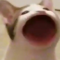 오늘 강남 누구? 오강누 믹셋