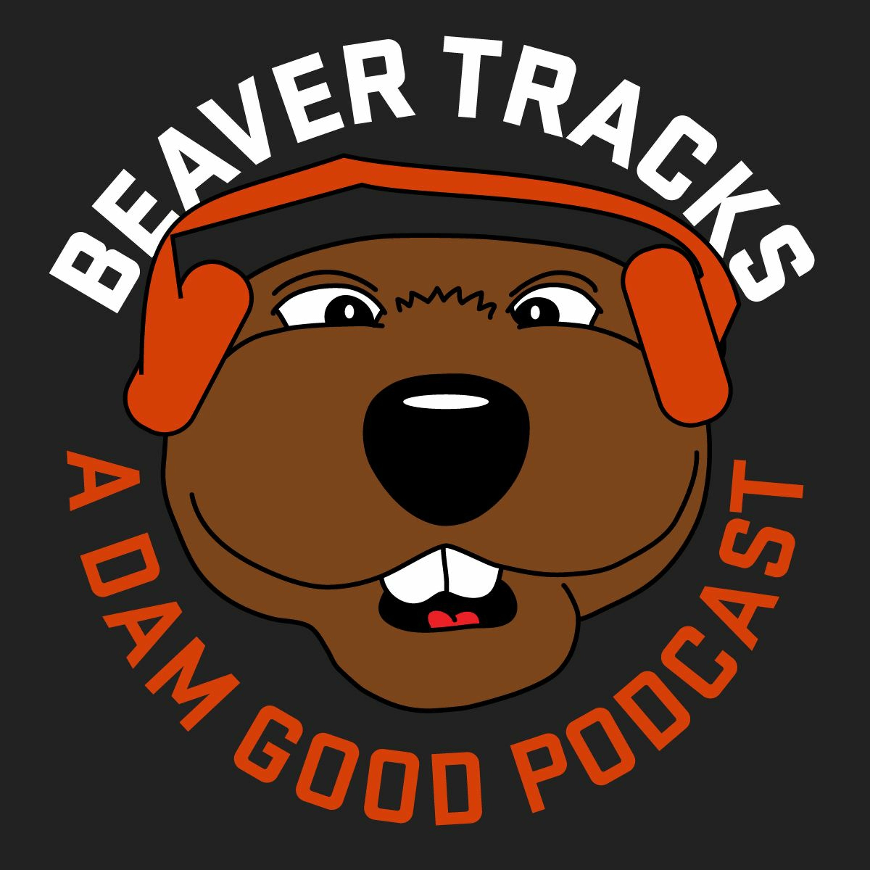 Beaver Tracks