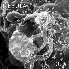 Nebula Podcast #26 - • M Ѧ R ї •
