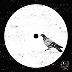 Krook - Shut It Down (Bandcamp Exclusive)