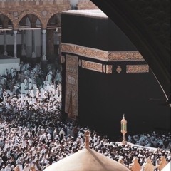 تلاوة جديدة سورة الملك - القارئ طارق محمد | Surah Al - Mulk - Tareq Mohammad