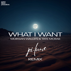 Morgan Wallen feat. Tate McRae - What I Want (Jei Lune Melodic House Remix)